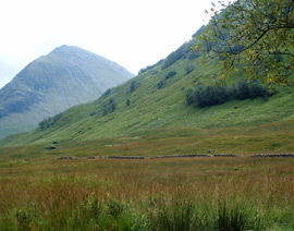 glencoe